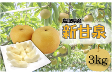 【先行予約】安田農園 梨 ”新甘泉” 3kg箱｜鳥取 岩美 梨 なし ナシ 赤梨 果物 フルーツ【41030】