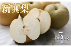 先行予約 新興梨（しんこうなし）5kg｜鳥取 果物 くだもの フルーツ なし 梨 和梨 旬 数量限定【41035】