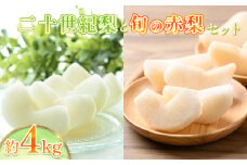 先行予約 二十世紀梨と旬の赤梨セット 4kg｜鳥取 果物 くだもの フルーツ なし 梨 和梨 旬 二十世紀梨 赤梨 品種はおまかせ 数量限定【41039】