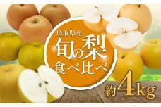 先行予約 品種はおまかせ 旬の梨ミックス 4kg｜鳥取 果物 くだもの フルーツ なし 梨 旬 和梨 二十世紀梨 新甘泉 秋甘泉 王秋 数量限定【41041】