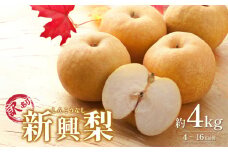 先行予約 訳あり 新興梨（しんこうなし）4kg｜鳥取 果物 フルーツ なし 梨 和梨 旬 訳アリ 数量限定【41043】