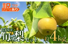 先行予約 訳あり 鳥取県産旬の梨セット 4kg｜鳥取 果物 フルーツ なし 梨 和梨 旬 訳アリ 数量限定【41044】