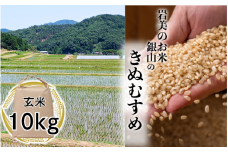 【先行予約】岩美町銀山のきぬむすめ（玄米）10kg｜鳥取 岩美 米 お米 こめ コメ 玄米 令和7年産 新米【31027】
