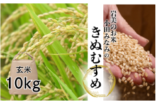 【先行予約】小田みなみのきぬむすめ（玄米）10kg｜鳥取 岩美 米 お米 こめ コメ 玄米 令和7年産 新米【31026】