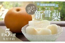 【先行予約】（訳あり）中野農園 梨 ”新雪梨” 5kg箱｜鳥取 岩美 梨 なし ナシ  赤梨 果物 フルーツ【41046】