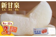 【先行予約】（訳あり）中野農園 梨 ”新甘泉” 3kg箱｜鳥取 岩美 梨 なし ナシ  赤梨 果物 フルーツ【41047】
