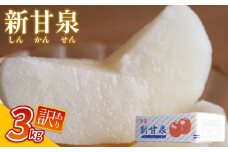 【先行予約】（訳あり）中野農園 梨 ”新甘泉” 3kg箱｜鳥取 岩美 梨 なし ナシ  赤梨 果物 フルーツ【41047】