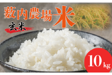 【先行予約】岩美薮内農場米（コシヒカリ）10kg 玄米｜鳥取 岩美 米 お米 こめ コメ 令和7年産 新米【31013】
