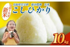 【先行予約】岩美薮内農場米（コシヒカリ）10kg 玄米｜鳥取 岩美 米 お米 こめ コメ 令和7年産 新米【31013】