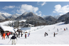 149．わかさ氷ノ山スキー場　１日リフト券