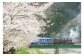 若桜鉄道SL走行社会実験（H27年4月）※画像はイメージです
