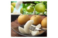 215-W15．【先行予約】【品種はおまかせ】二十世紀梨と旬の赤梨セット ４ｋｇ