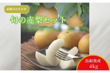 213-W13．【先行予約】【品種はおまかせ】旬の赤梨セット　４ｋｇ