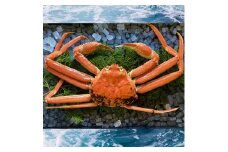 236-WK12．【2025年先行予約】【配送日時指定可】【蒸し】ご自宅用松葉ガニ　大　１枚(800～940ｇ前後) 