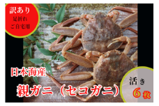 241-WK17．【先行予約】【配送日時指定可】【活き】訳あり足折れご自宅用　日本海産親ガニ（セコガ二）6枚