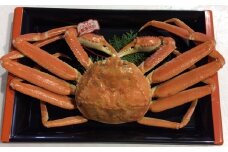 168-2．【魚倉】タグ付きボイル松葉ガニ（中６５０ｇ）