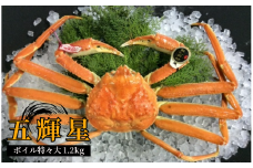 166-2．五輝星（いつきぼし）ボイル松葉ガニ（特々大1.2kg）数量限定品【魚倉】