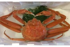 179-2．【魚倉】足１本なしボイル松葉ガニ訳あり（中６５０ｇ）