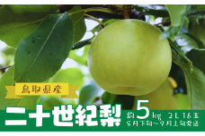 鳥取県産 二十世紀梨 約５㎏ ２L 16玉（AD1-1）