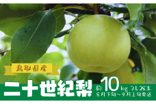 鳥取県産 二十世紀梨 約10㎏ ３L 28玉（AD1-4）