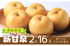 鳥取県産 新甘泉 約５㎏ ２L 16玉（AD1-5）