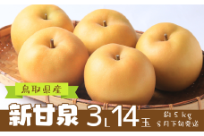 鳥取県産 新甘泉 約５㎏ ３L 14玉（AD1-6）