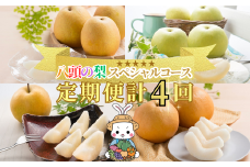 【2025年発送分】八頭の梨スペシャルコース【8月頃～11月/4回お届け】