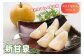 糖度が高くジューシーな食感の鳥取オリジナル梨“新甘泉”