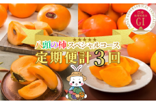 【2025年発送分】八頭の柿スペシャルコース【10月～12月/3回お届け】