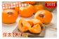 大玉の新品種“輝太郎(きたろう)柿”