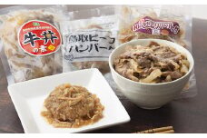 鳥取県産ハンバーグ2種&牛丼セット