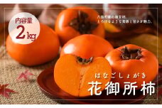【数量限定】こおげ花御所柿 2kg 赤秀 2Lサイズ 9玉 物産館みかど 12月上旬から順次発送【もぎたて 旬 フルーツ 果物 柿 かき 花御所 郡家 こおげ 冬 鳥取県 八頭町 甘柿 甘味 幻】＜Y088＞