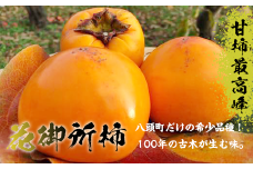 【2025年発送】樹齢100年の古木から採れる花御所柿