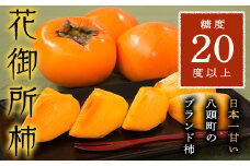 【2025年発送】八頭町特産 花御所柿