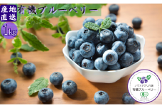 完熟有機ブルーベリー1kg【有機JAS認定】