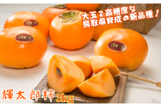 輝太郎柿 3kg