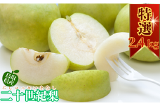 二十世紀梨(赤秀) 2.4kg
