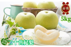 二十世紀梨(赤秀) 5kg