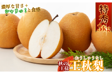 【2025年秋以降発送分】王秋梨(特秀) 3kg
