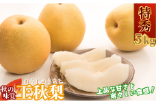【2025年発送分】王秋梨(特秀) 5kg