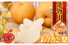 【2025年発送分】あたご梨 3kg