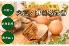八頭のまごころセット