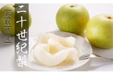 二十世紀梨(特選) 3kg