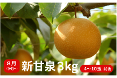 【数量限定】プレミアム新甘泉 3kg 4玉～10玉前後 高間商店 8月中旬から順次発送 【もぎたて 旬 フルーツ 果物 オリジナルブランド 新品種 赤梨 梨 シャキシャキ 新甘泉】＜Y025＞