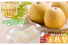 プレミアム王秋梨 3kg