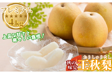 プレミアム王秋梨 4kg