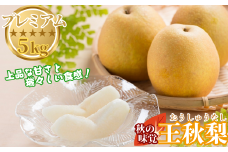 プレミアム王秋梨 5kg