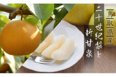 二十世紀梨と新甘泉のセット 3kg