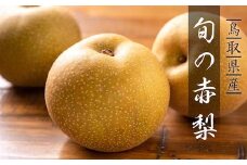 旬の赤梨セット 3kg