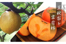 王秋梨と富有柿のセット 4kg